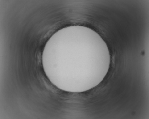 X0000115830963200912241952