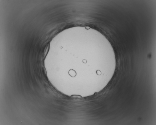 X0000115830964200912241952