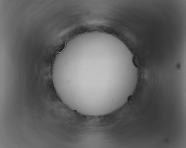 X0000115830965200912241952