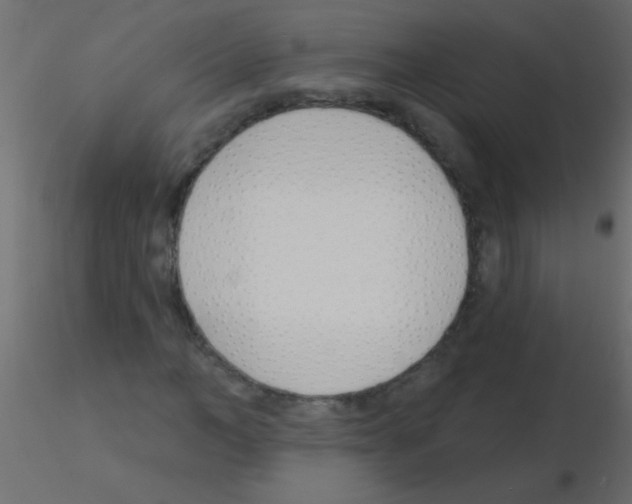 X0000115830966200912241952