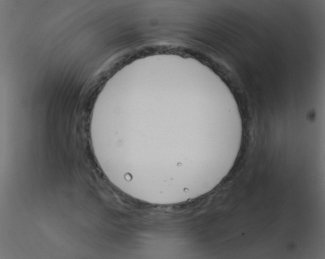 X0000115830968200912241952