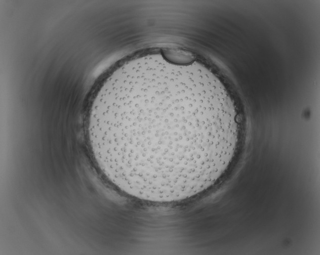 X0000115830970200912241952