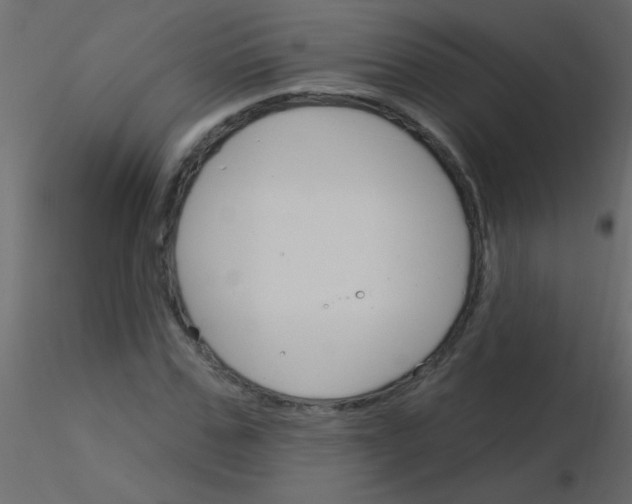 X0000115830971200912241952