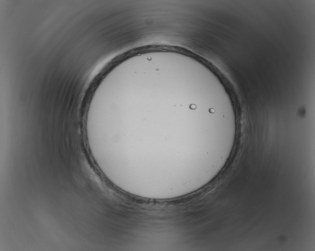 X0000115830972200912241952