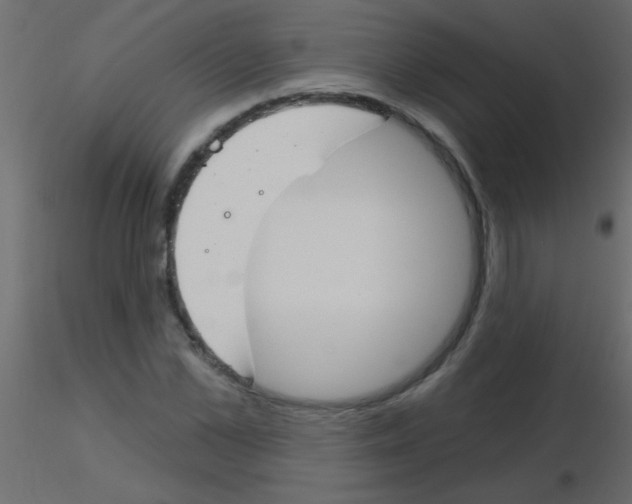 X0000115830973200912241952