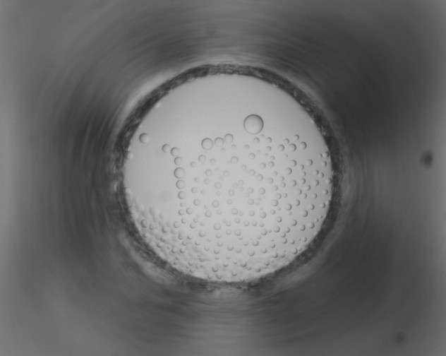 X0000115830974200912241952