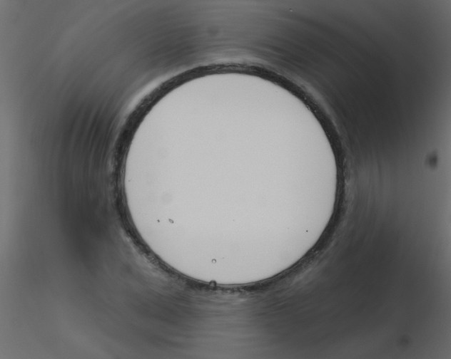 X0000115830975200912241952