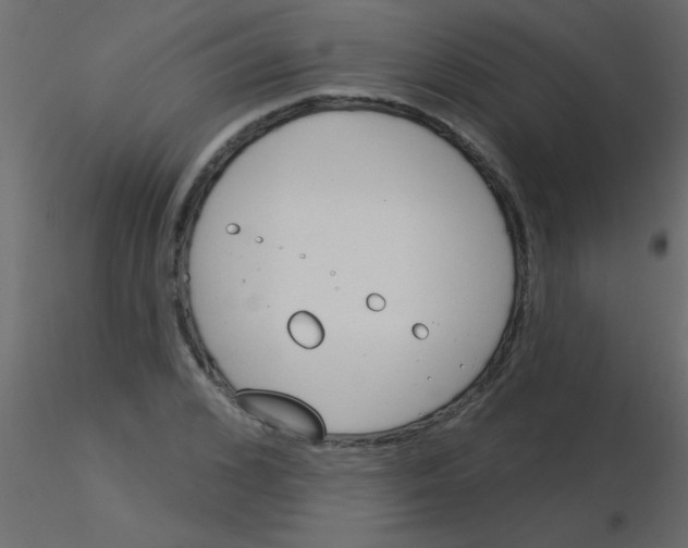 X0000115830976200912241952