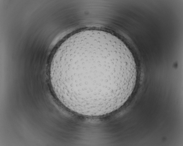 X0000115830978200912241952