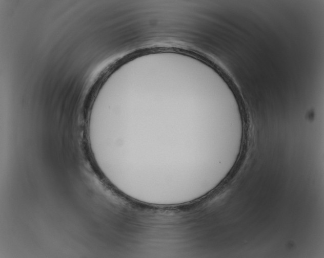 X0000115830979200912241952