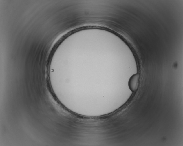 X0000115830980200912241952