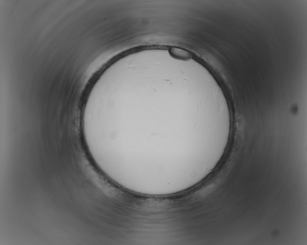 X0000115830981200912241952