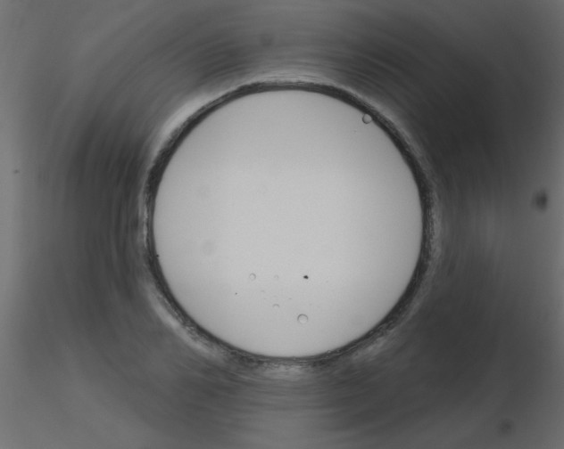 X0000115830982200912241952