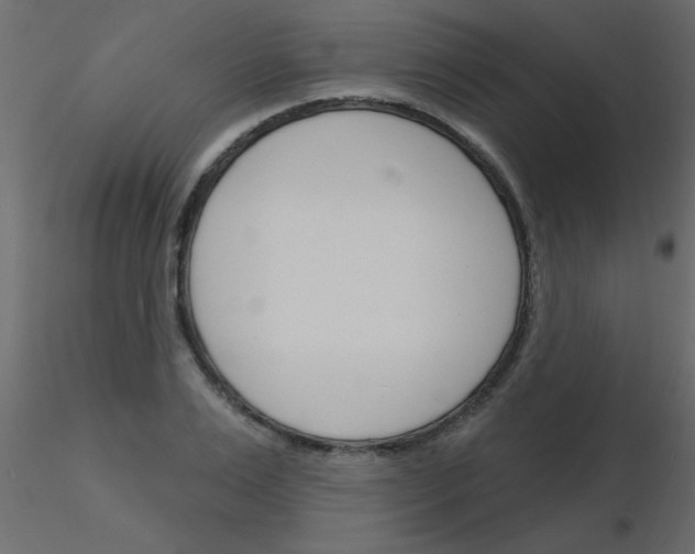 X0000115830983200912241952