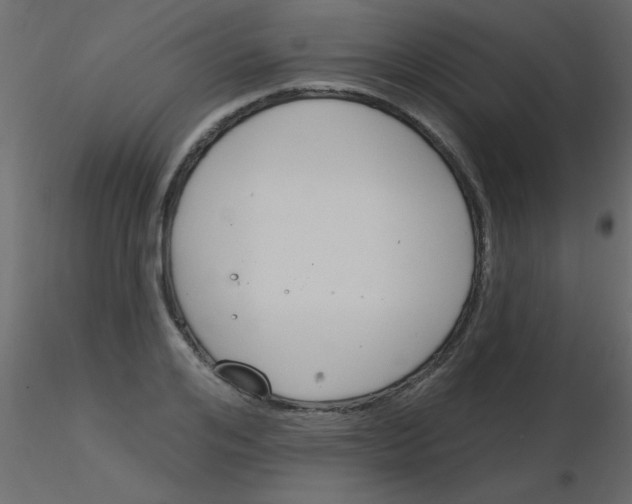 X0000115830984200912241952