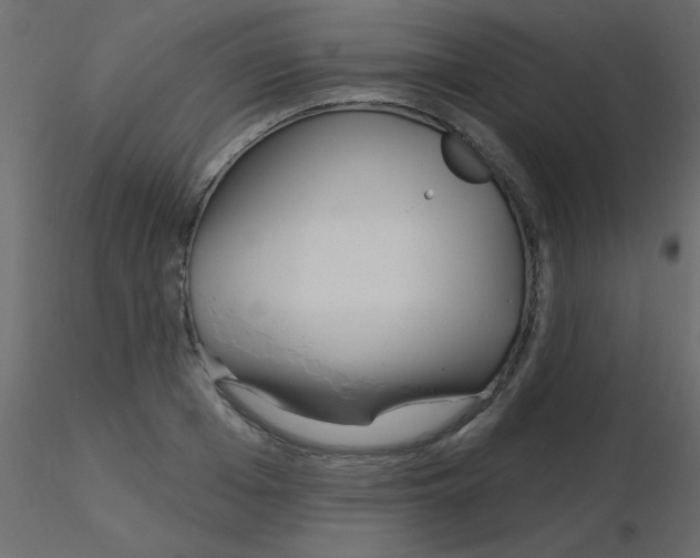 X0000115830985200912241952