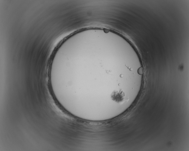 X0000115830987200912241952