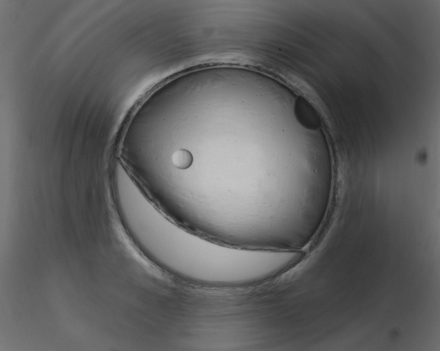 X0000115830989200912241952