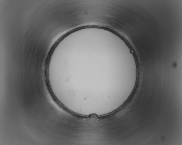 X0000115830991200912241952