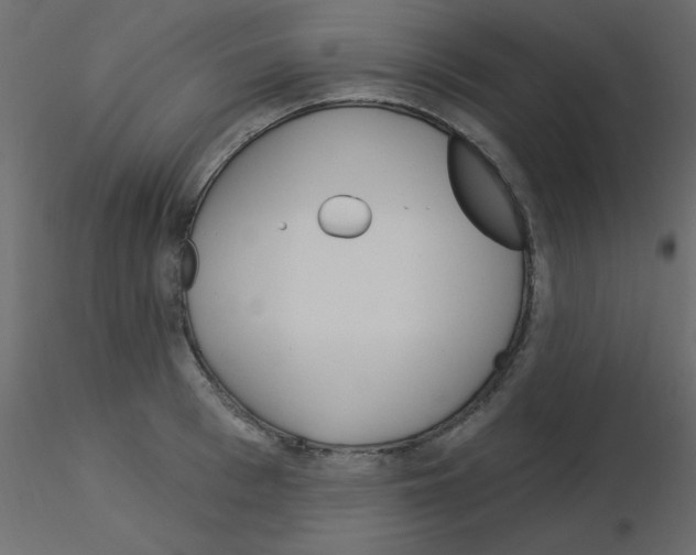 X0000115830993200912241952