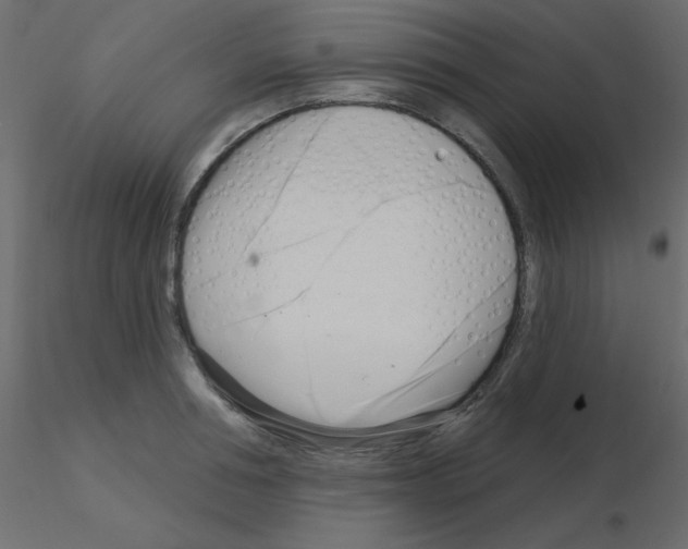 X0000115830994200912241952