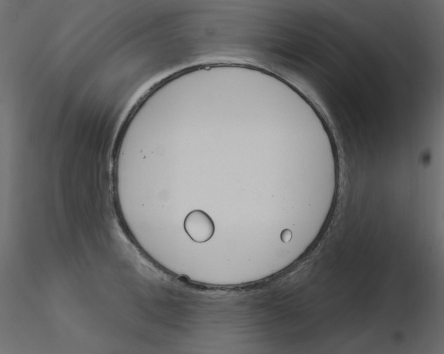 X0000115830996200912241952