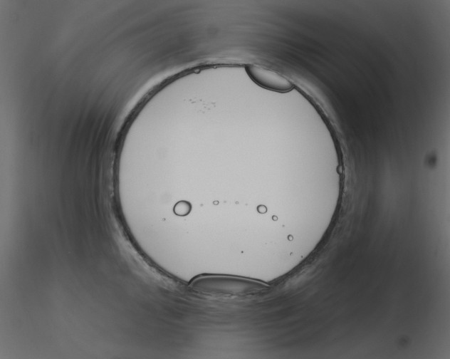 X0000115831000200912241952