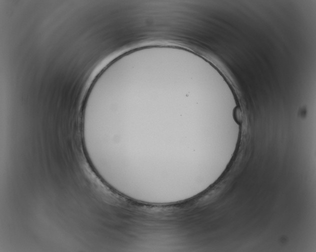 X0000115831004200912241952