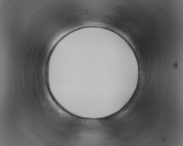 X0000115831007200912241952