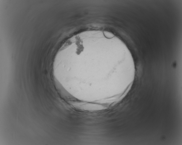 X0000115831009200912241951