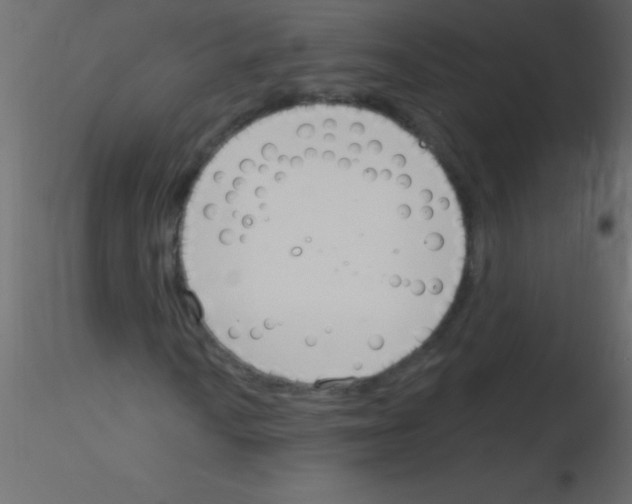 X0000115831010200912241951