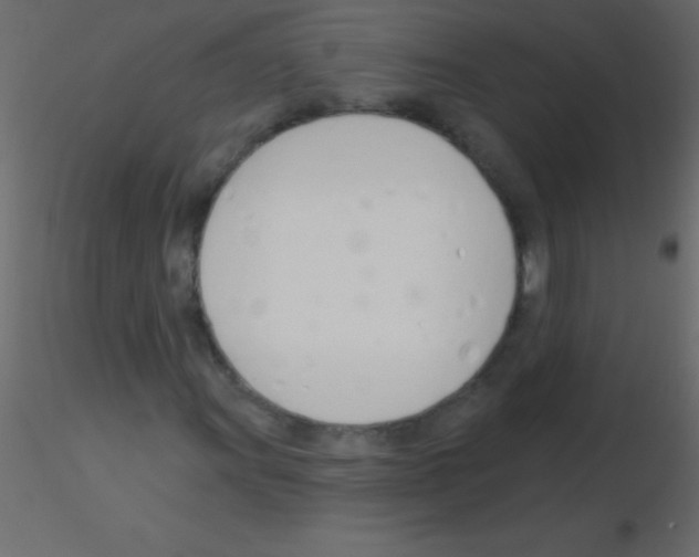 X0000115831011200912241951