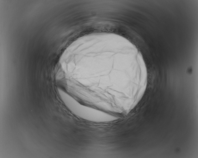 X0000115831013200912241951