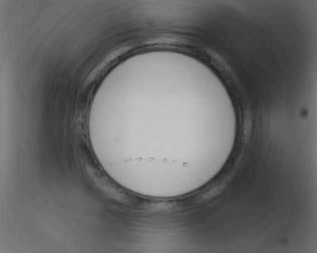 X0000115831017200912241951