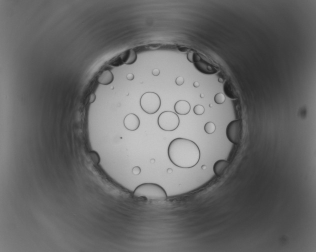 X0000115831019200912241951