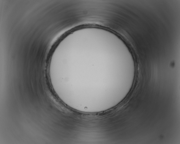 X0000115831020200912241951