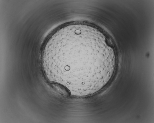 X0000115831021200912241951