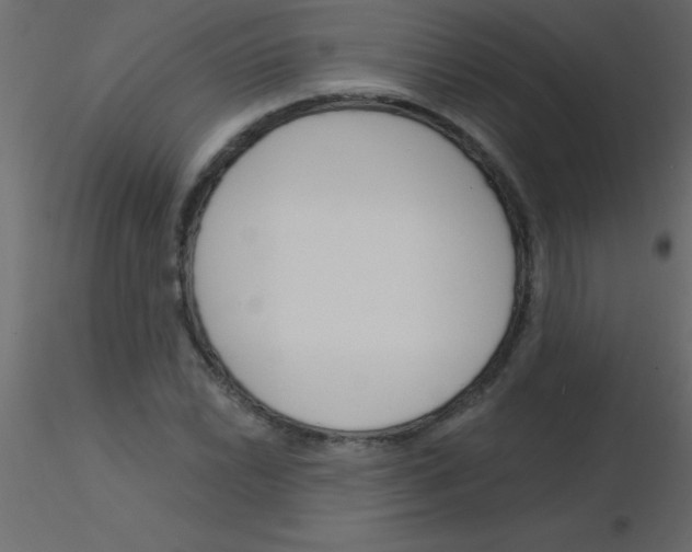 X0000115831022200912241951