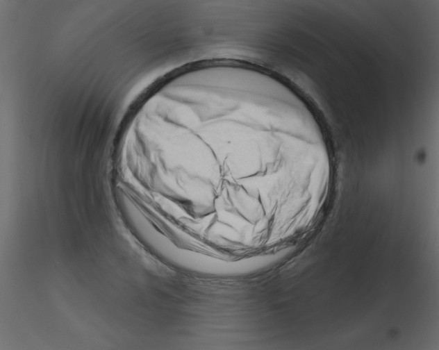 X0000115831024200912241951