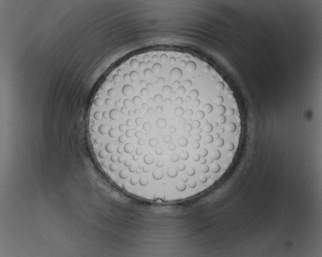 X0000115831025200912241951