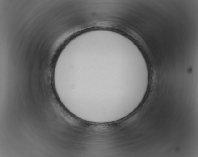 X0000115831027200912241951