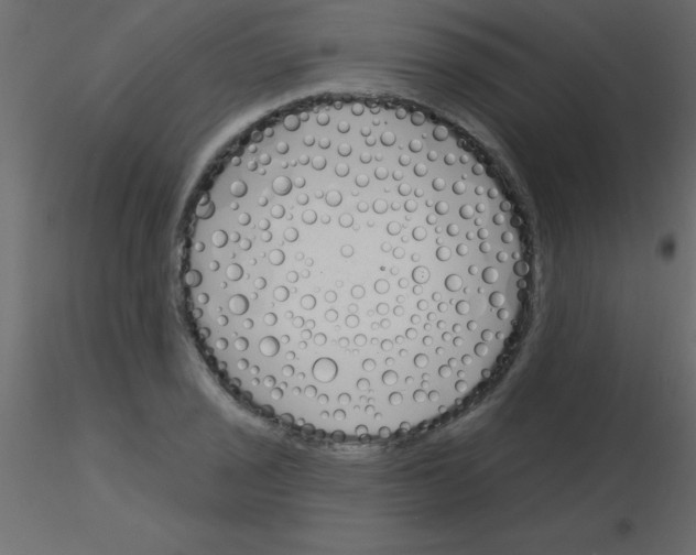 X0000115831029200912241951