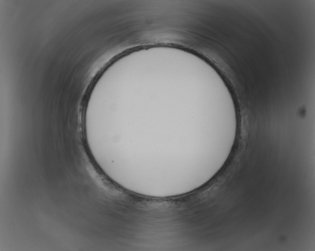 X0000115831031200912241951