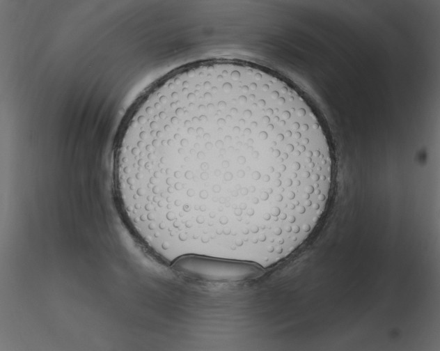 X0000115831032200912241951