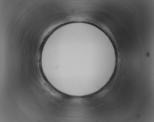 X0000115831035200912241951