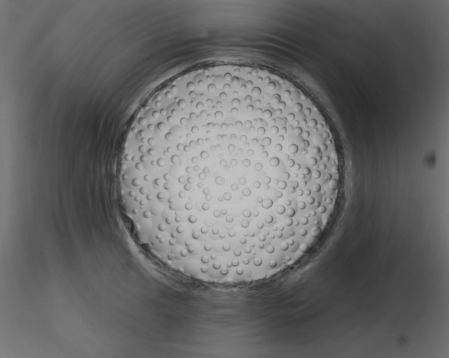 X0000115831041200912241952