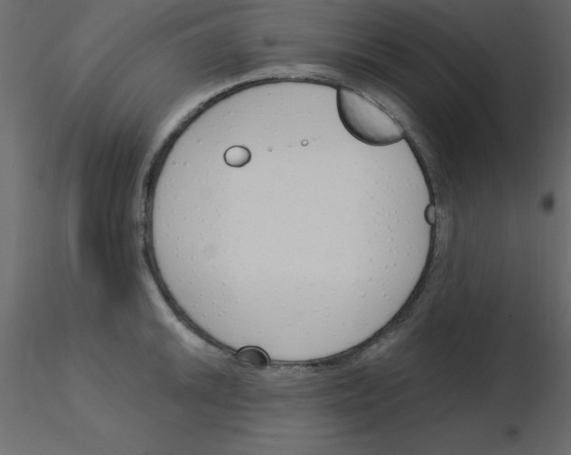 X0000115831046200912241952