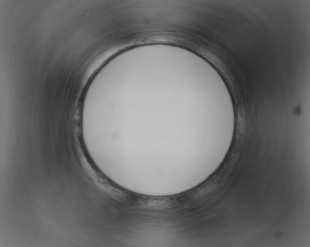 X0000115831047200912241952