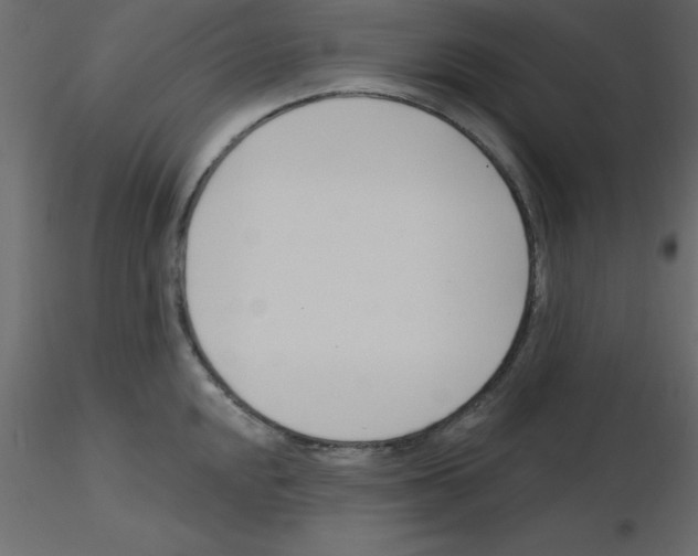 X0000115831048200912241952