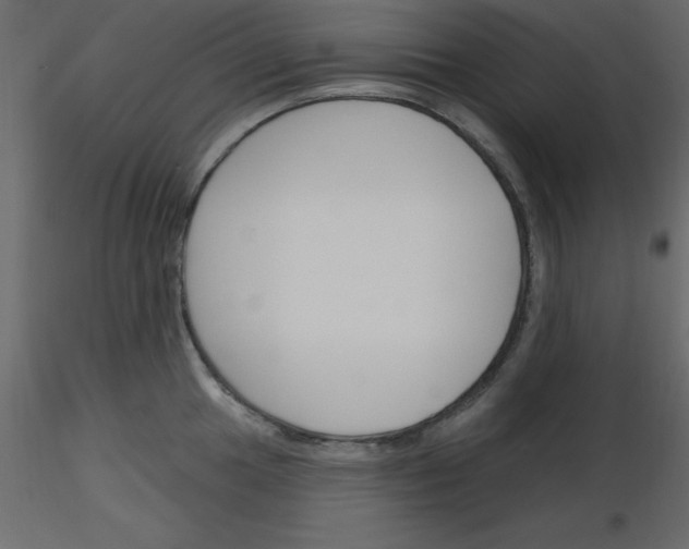 X0000115831049200912241952